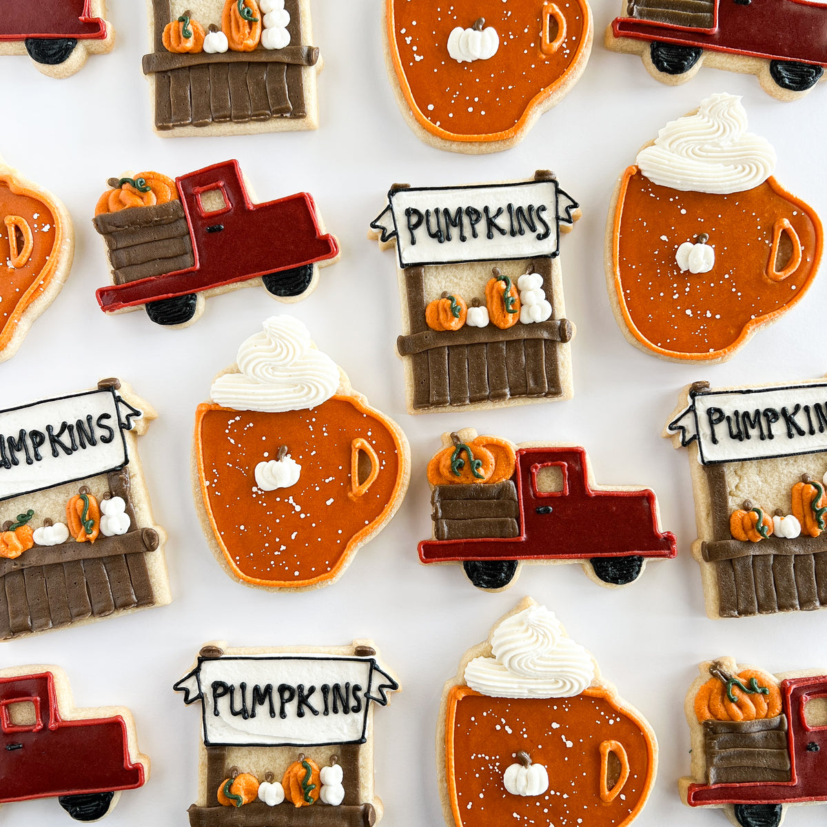 Pumpkin Patch Sugar Cookie Set