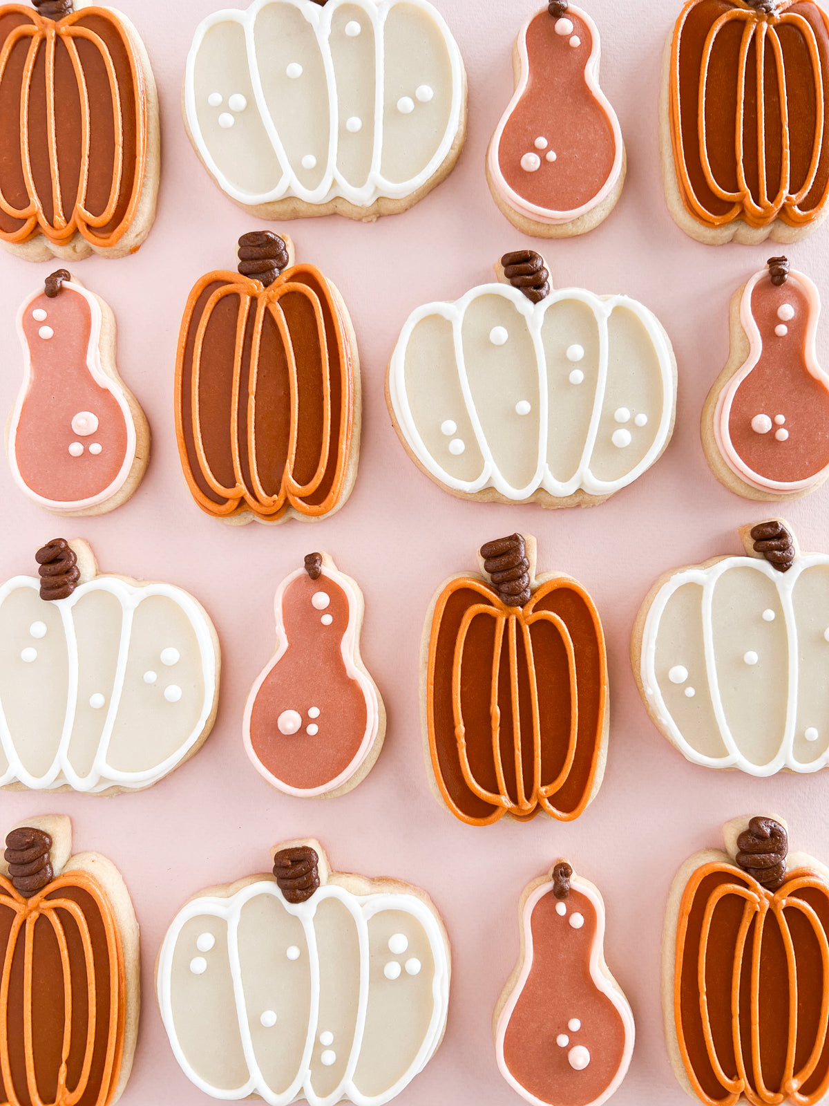 Oh my Gourd Sugar Cookie Set